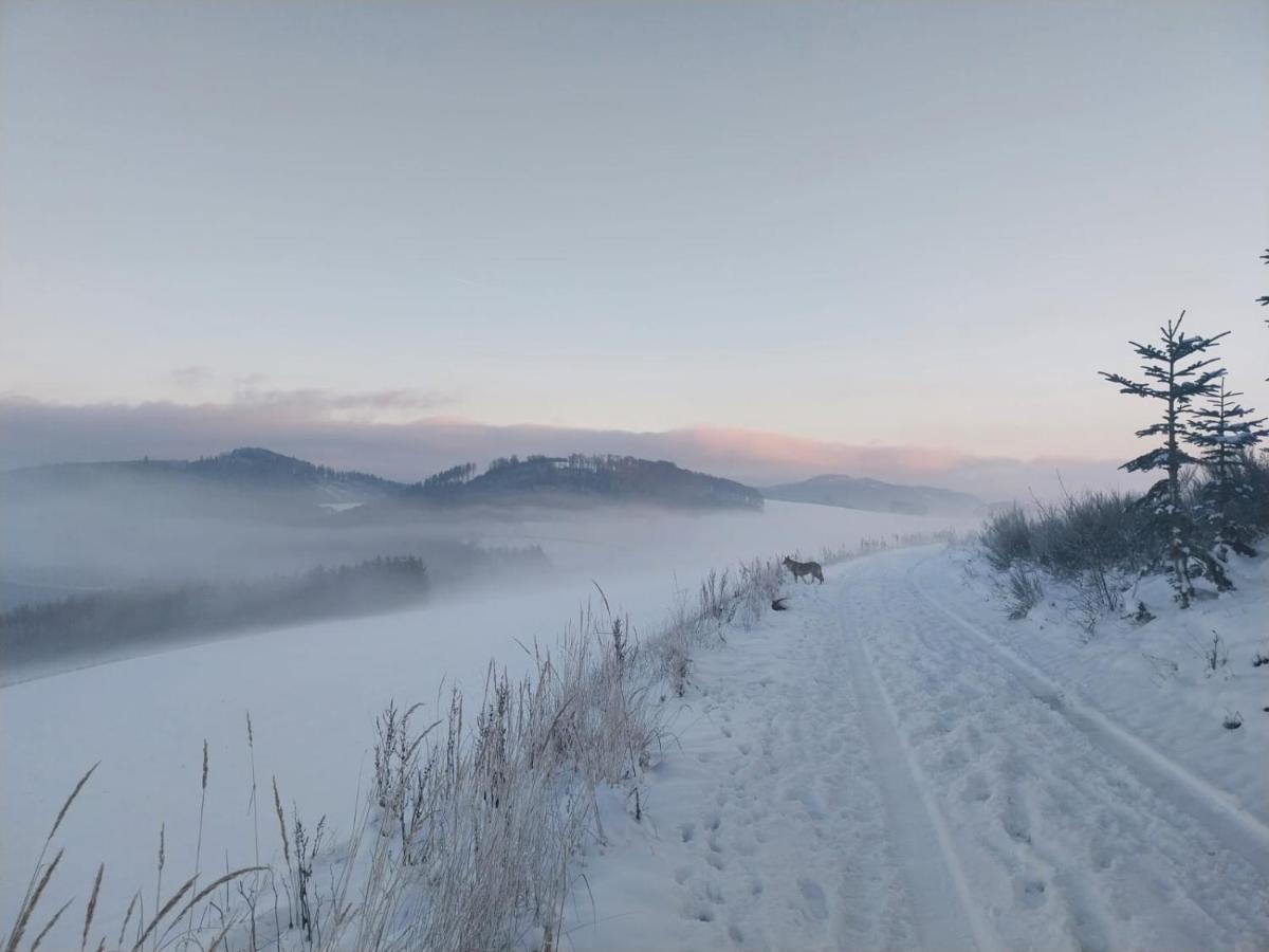 Ferienhaus Lena Im Sauerland Direkt Am Hennesee Meschede Exteriér fotografie