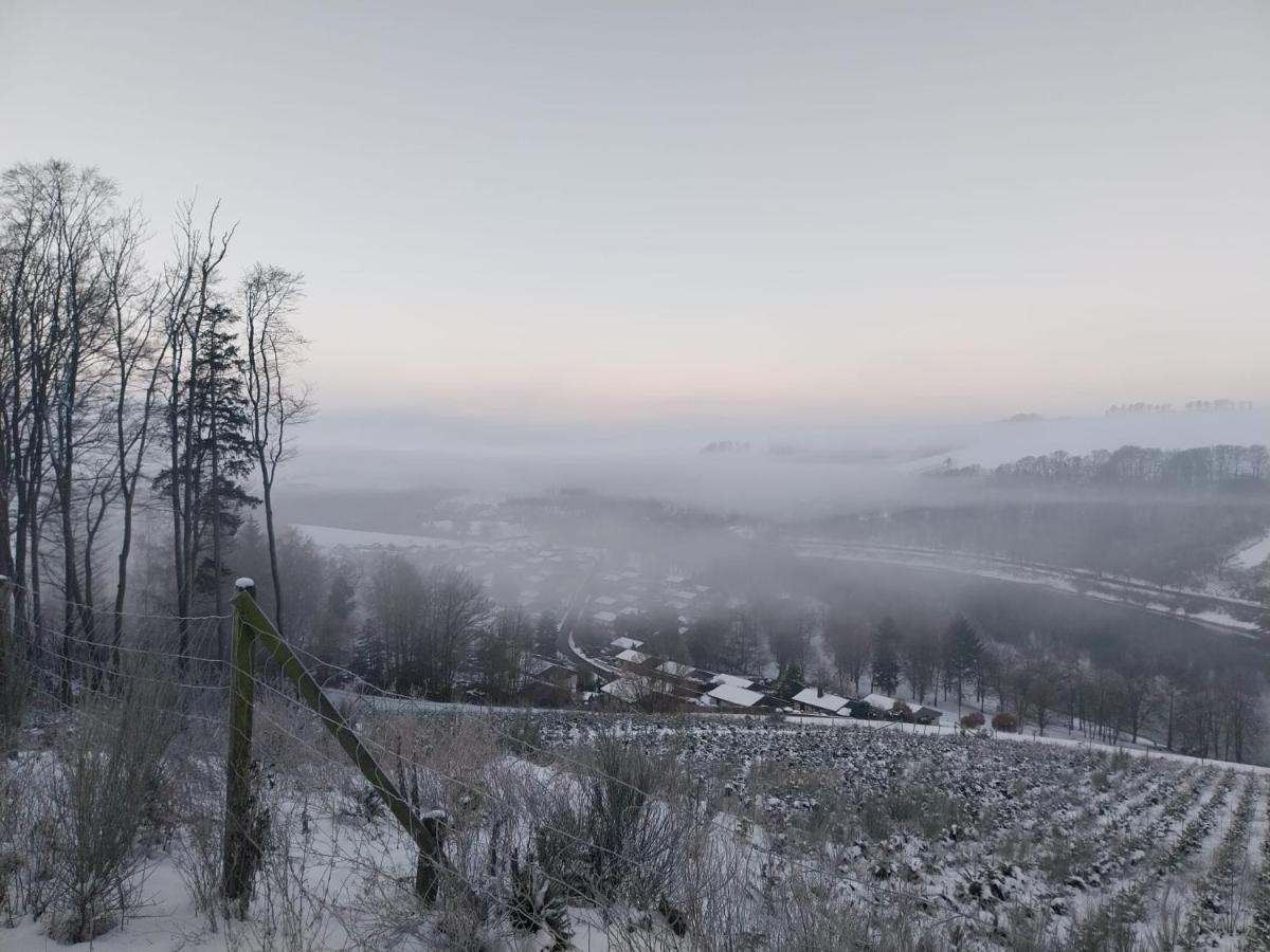 Ferienhaus Lena Im Sauerland Direkt Am Hennesee Meschede Exteriér fotografie